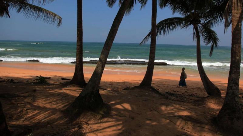 Беларусь и Шри-Ланка подпишут межправсоглашение о воздушном сообщении