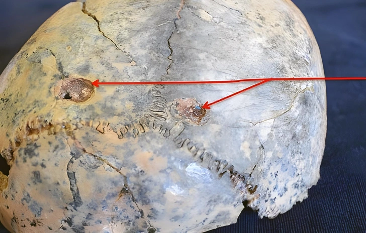 «Царь природы» или трусливая жертва? Кто нападал на первых людей в Африке 2 млн лет назад