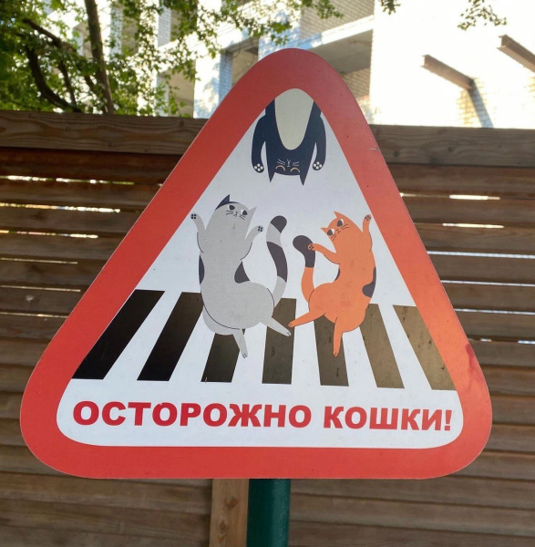 Едем на Балтику: что посмотреть в Калининграде и окрестностях