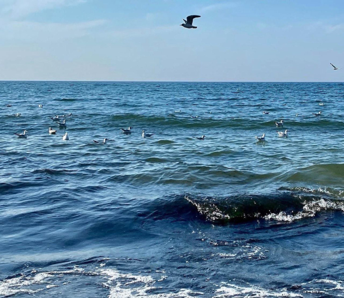 Едем на Балтику: что посмотреть в Калининграде и окрестностях
