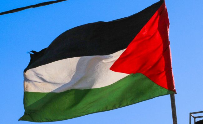 Франция и 11 стран создали коалицию для поддержки Палестины