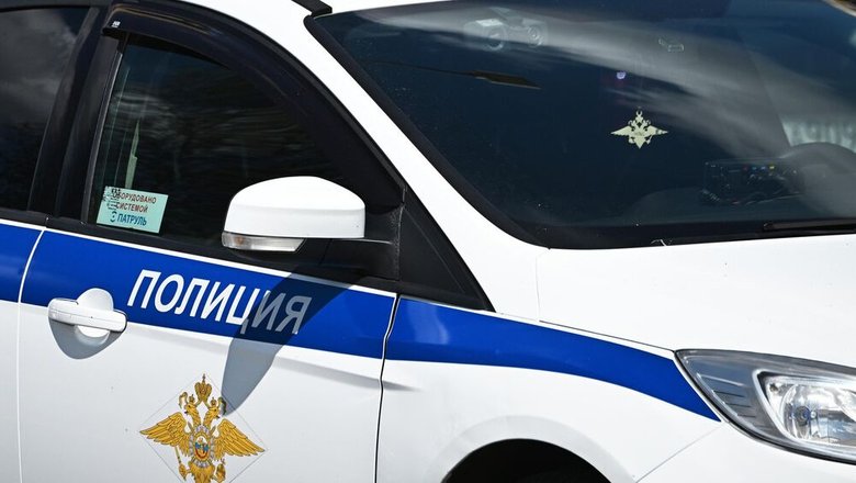 Источник: водитель, в чьем авто были останки тигра, заявил, что нашел их