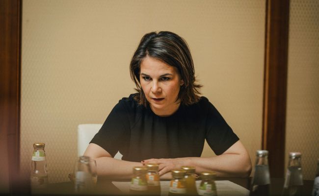 Надо бы разобраться: Бербок потеряла дар речи на словах «Российская Федерация»