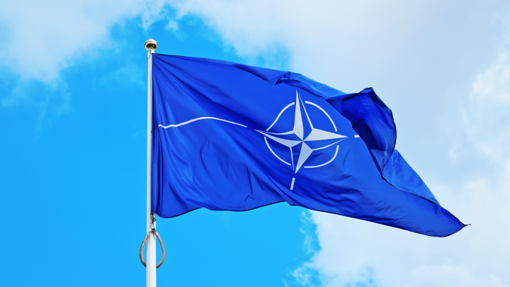 НАТО нежизнеспособна: Рютте проговорился