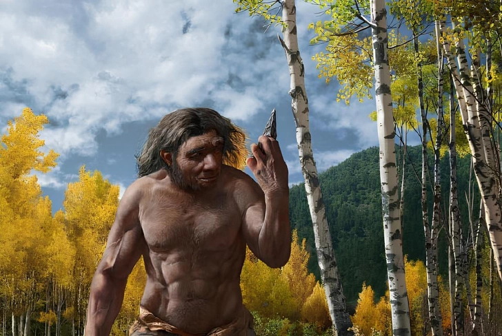 Один череп пролил свет на происхождение Homo longi и денисовцев — ему миллион лет