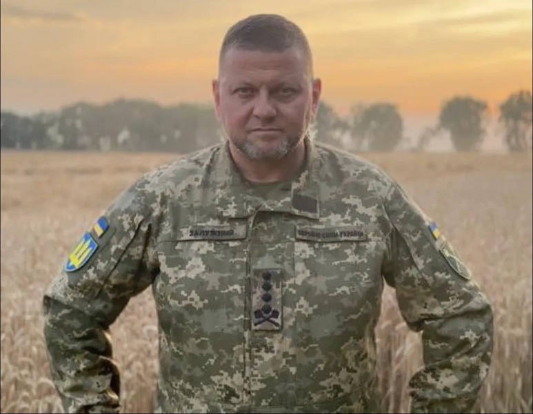 Политолог Кошкин счёл пиар-ходом откровения Залужного о провале ВСУ под Курском