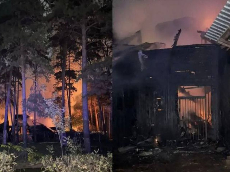 При пожаре в зоопарке Новосибирска погибли ламы и альпаки