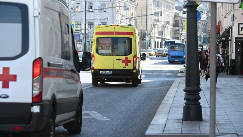 Растерзанная медведем женщина в Петропавловске-Камчатском скончалась в больнице