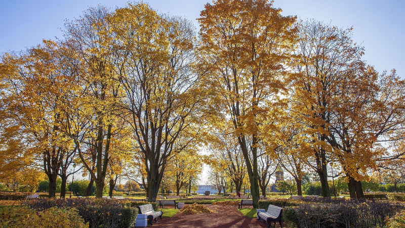 Россияне с детьми предпочитают для осенних поездок Петербург и ОАЭ