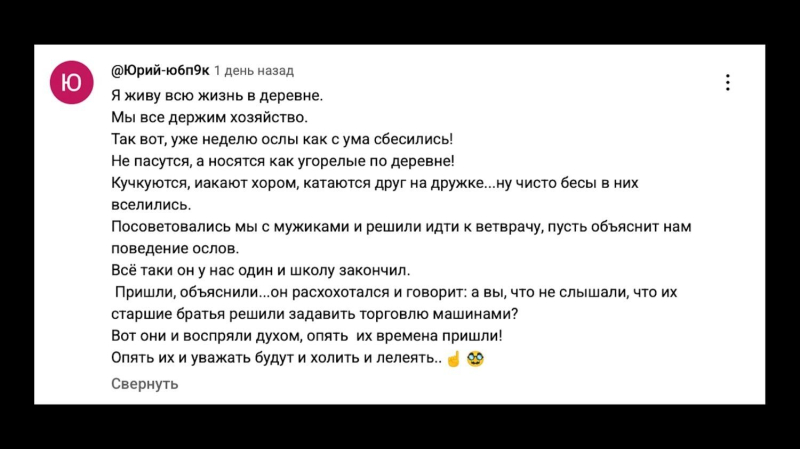 «Совсем народ не жалко»: что говорят россияне об идее увеличить утильсбор с 1 ноября
