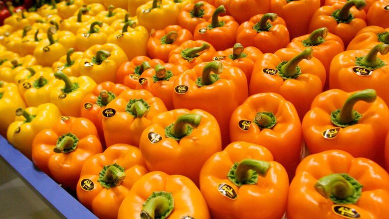 Врач рассказала о пользе болгарского перца