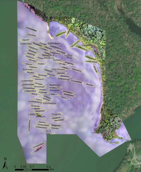 Затонувшие обломки кораблей времен мировых войн и боеприпасы стали домом для подводных обитателей