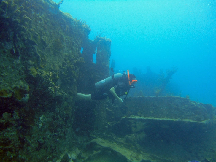 Затонувшие обломки кораблей времен мировых войн и боеприпасы стали домом для подводных обитателей