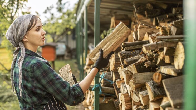Как правильно построить дровник: основные принципы создания надежной конструкции