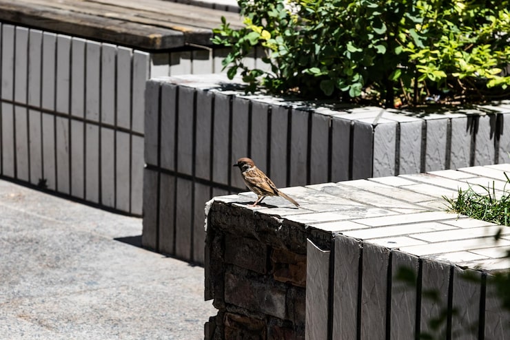 Выбор профнастила для забора: характеристики и рекомендации
