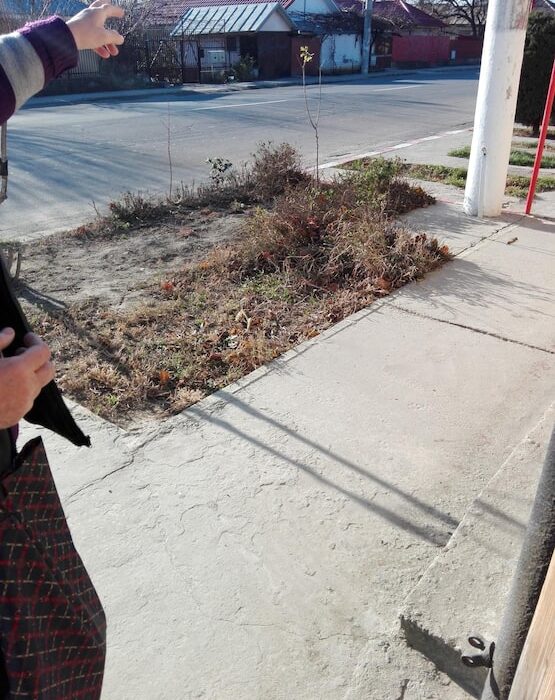 Укладка асфальта во дворе частного дома своими руками