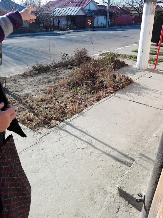 Укладка асфальта во дворе частного дома своими руками