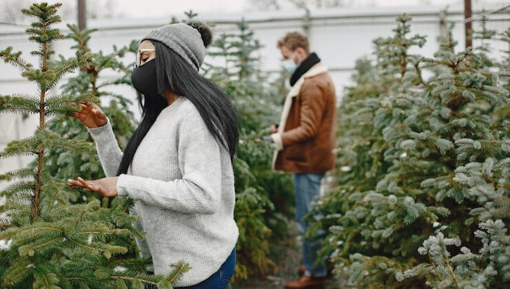Как сделать отопление в теплице зимой своими руками